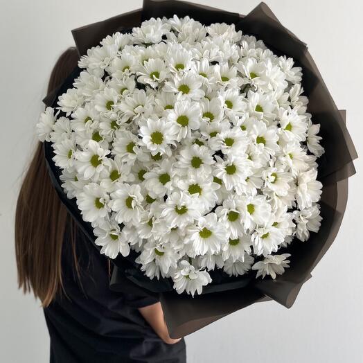 White daisy