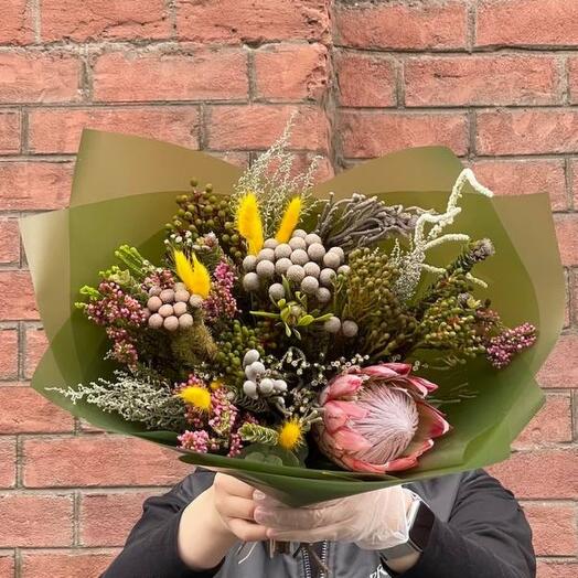 PROTEA