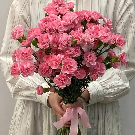 Clavel de arbusto rosa