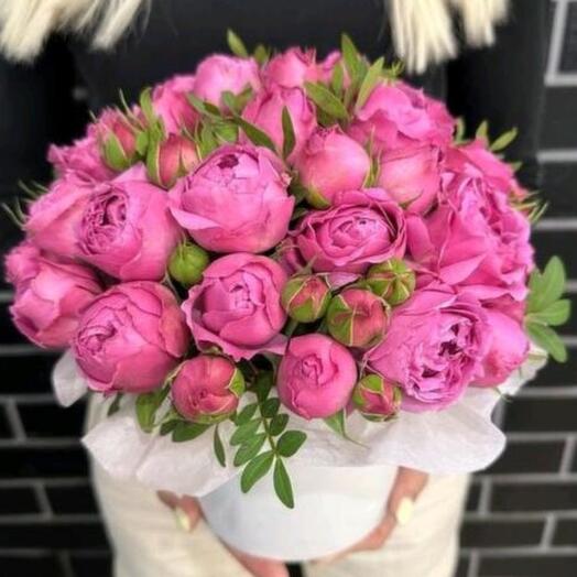 Peony-shaped bush rose
