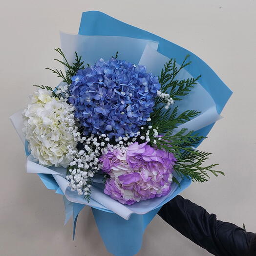 Флористикс