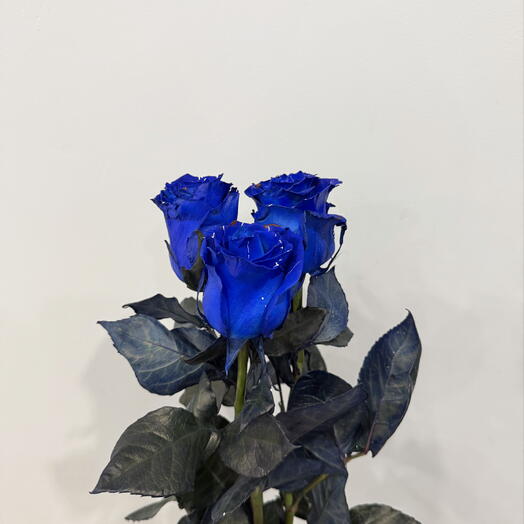 FlorSeason