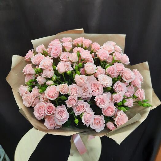 Rosa de arbusto Lydia 25pcs