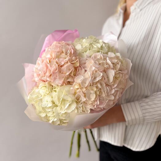 Bouquet of 5 delicate hydrangeas