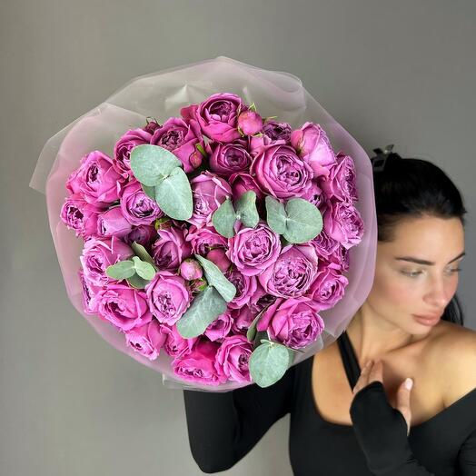 Мисти Баблс (15)