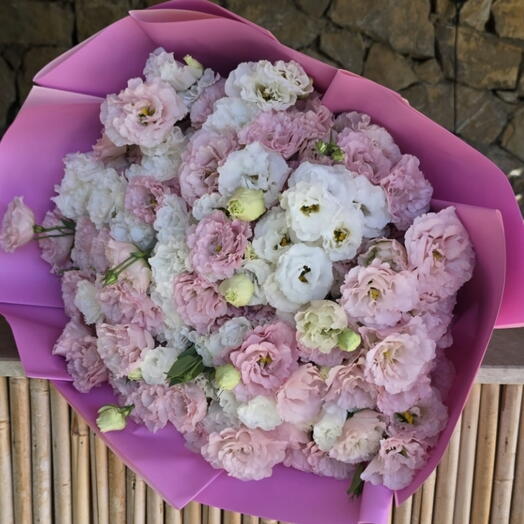 Eustoma mix