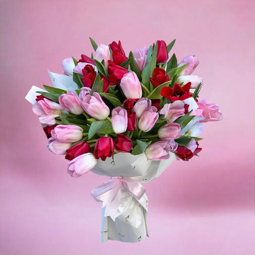 51 Pink and red tulip