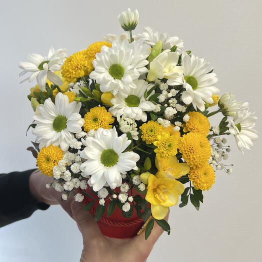 Бокс микс цветов