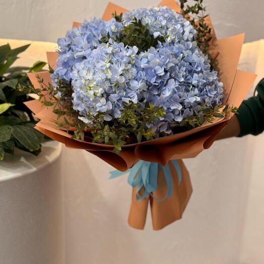 Hydrangea Blue