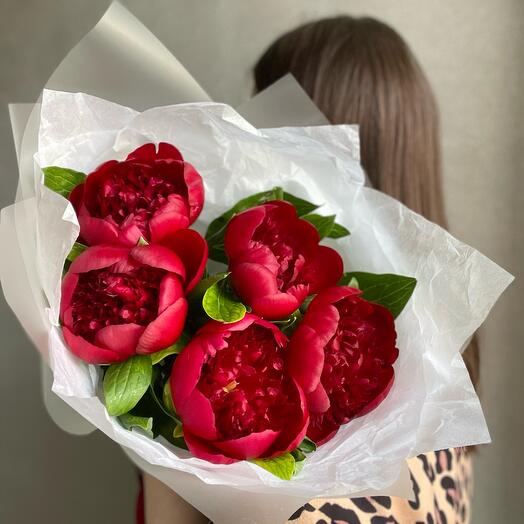 Букет из Бордовых пион