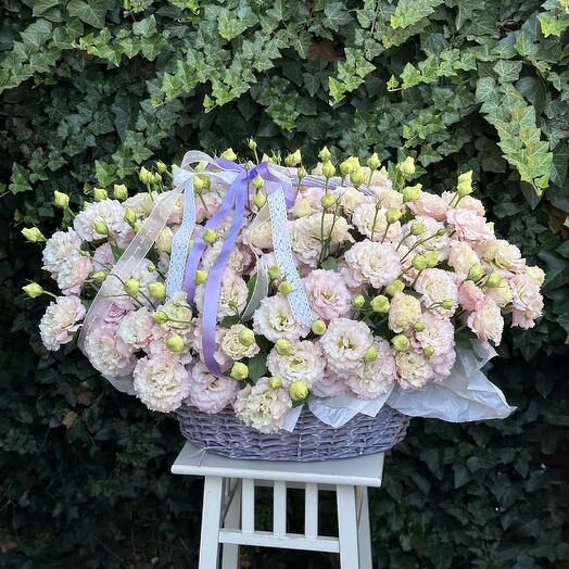 White rabbit flowers 
