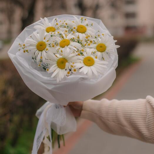 Микс из ромашек