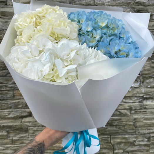 Hydrangea Monobucket