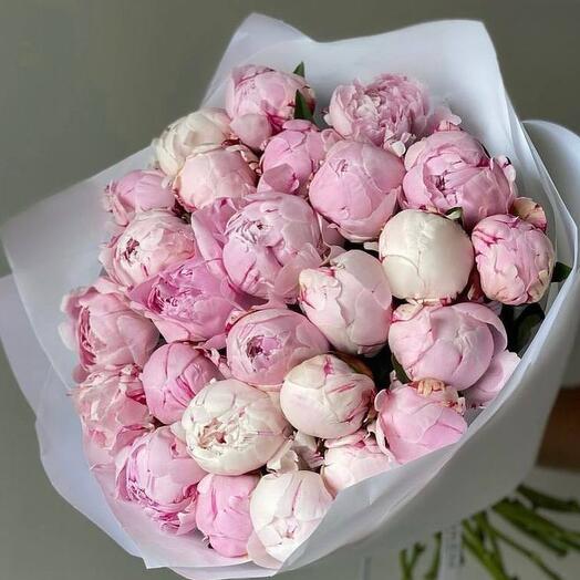 Bouquet of 25 pink peonies