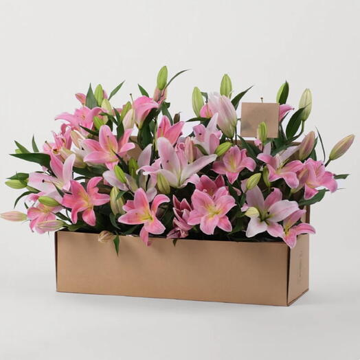 Flowers in a box