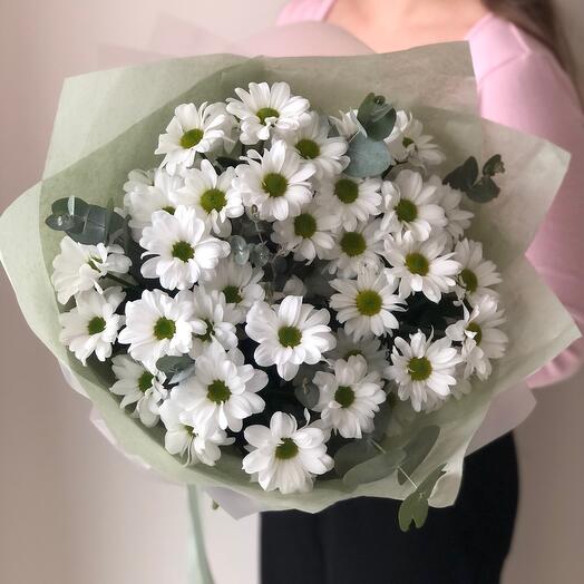 Chamomile chrysanthemums with eucalyptus