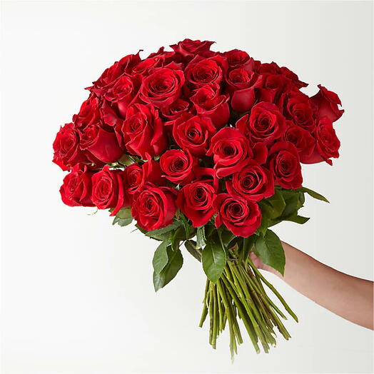 Fifty Long Stem Red Roses