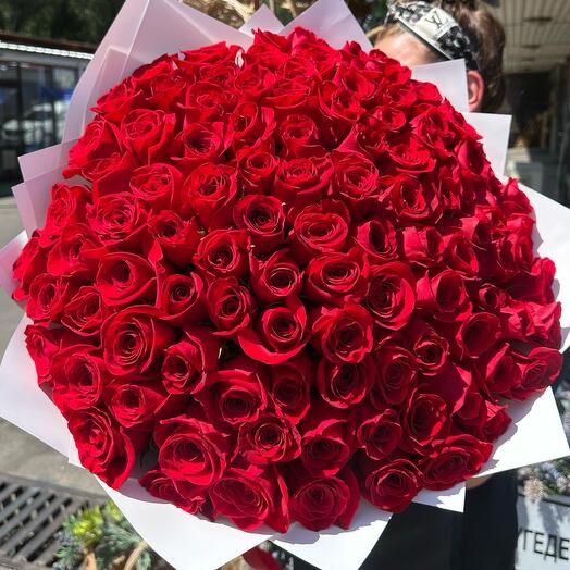 101 Голландская Роза «Эффект вааау»