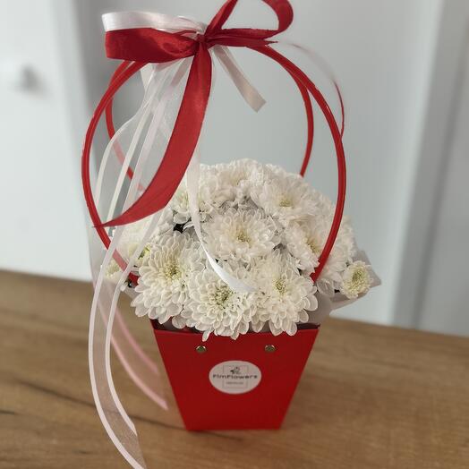 FimFlowers 
