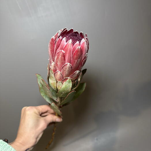 Flower magic