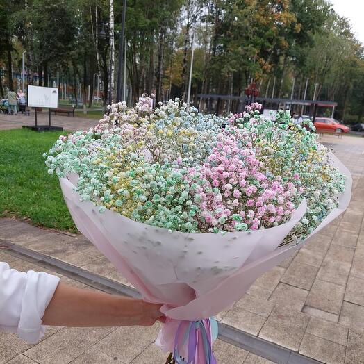 Букет из  разноцветной гипсофилы