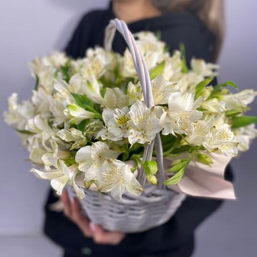 Альстромерии