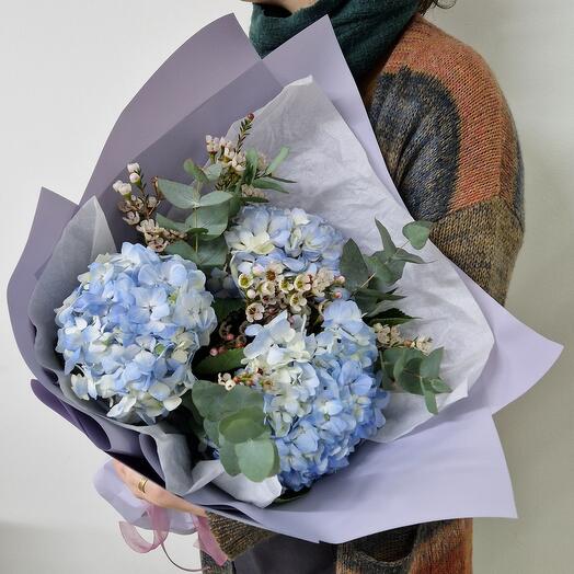Bouquet of Hydrangeas