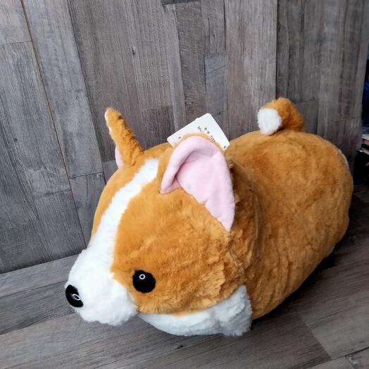 Собака Корги