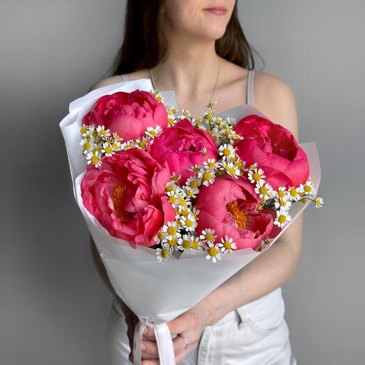Яркий букет коралловые пионы и голландская ромашка матрикария Peony02