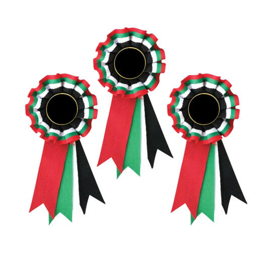 National Day Rosettes - Pack of 10