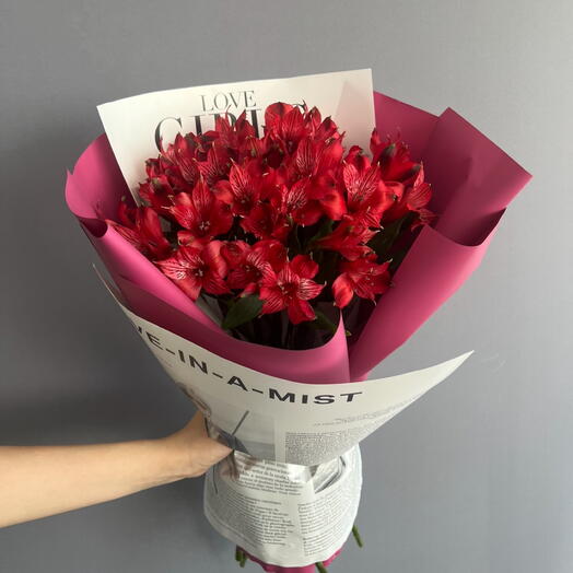 Alstroemeria roja