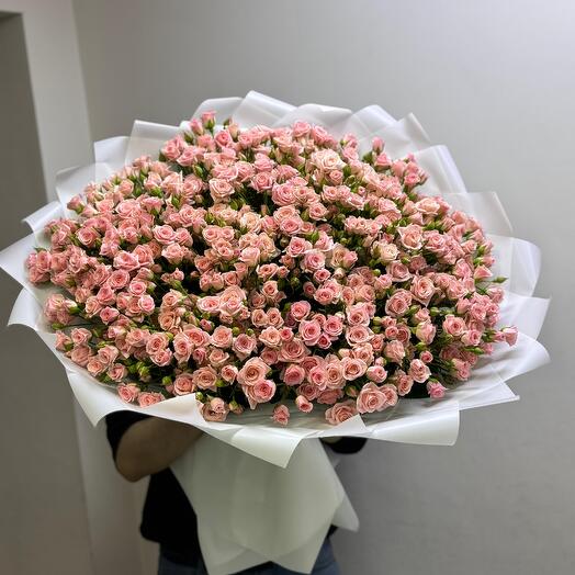 Tanya 71pcs Bush Roses