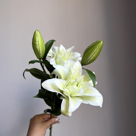 Love flowers