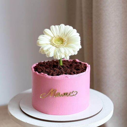 Cake star vikki