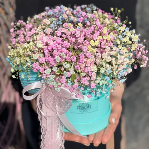 Коробочка з гіпсофіли