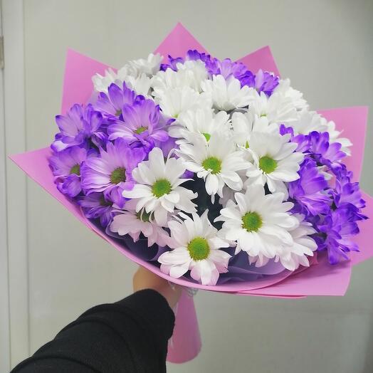 Monobucket of colored bush chrysanthemums