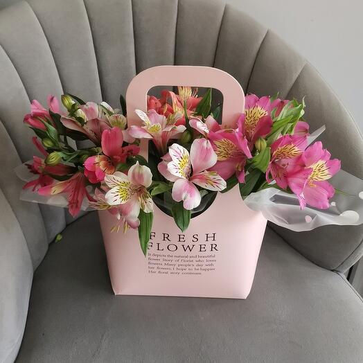 alstroemeria en bolsas