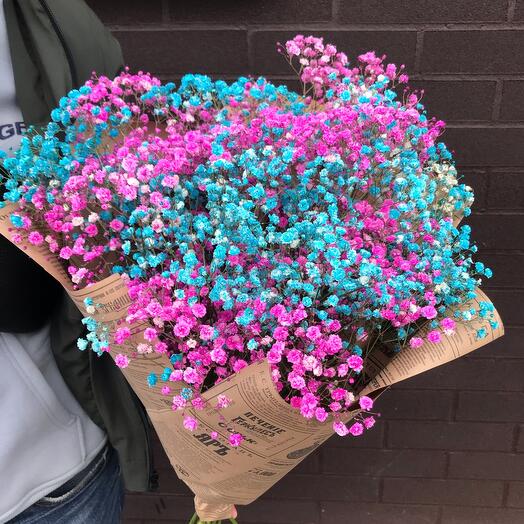 Mono bouquet of gypsophila