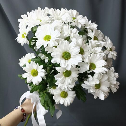 Букет из 5 кустовых хризантем