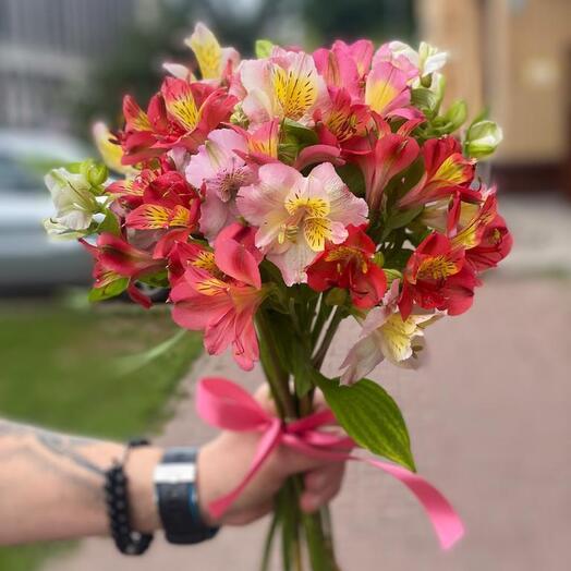 Chicks💐