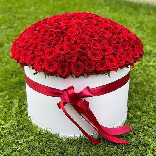 151 Red Roses In a White Box
