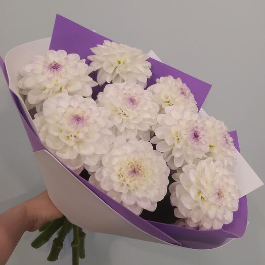 Букет  "Георгины"
