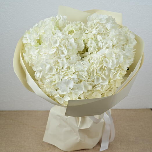 5 White Hydrangeas