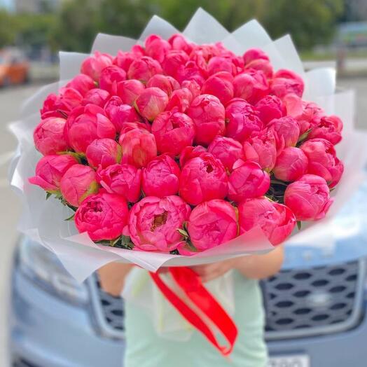 Коралловые пионы
