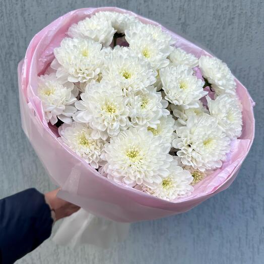 МИСТЕР ГАРДЕН