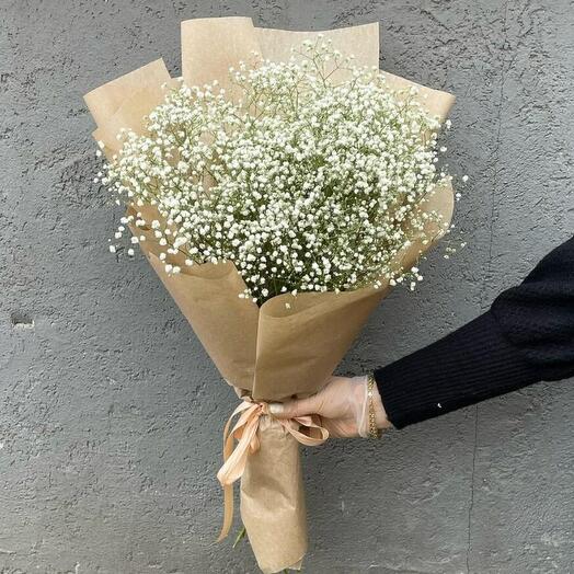 Gypsophila 7 white