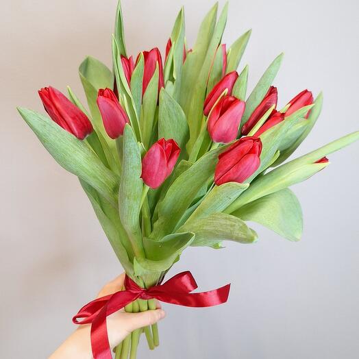 Тюльпаны 15 Красные