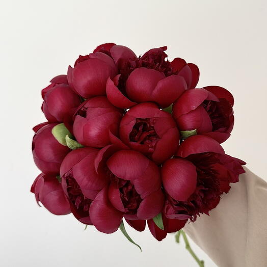11 красных пионов red charm