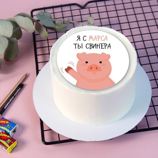 Бенто торт Я с марса ты свинера