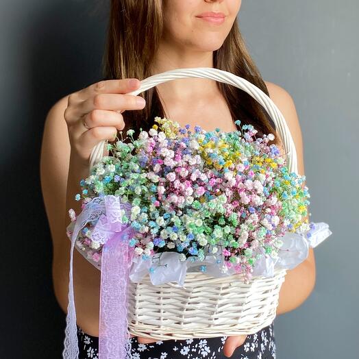 Гипсофила радужная в корзине мб